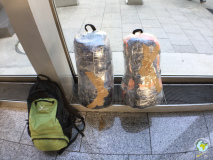 Japon_dia1_hakodate_16