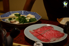 Japon_dia1_hakodate_22