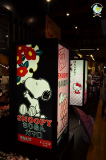 Japon_dia1_hakodate_39