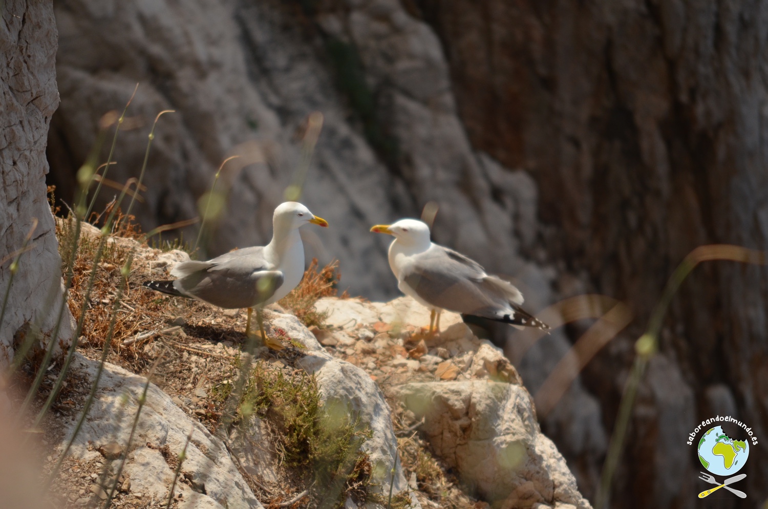 Excursión al Capo Caccia y Ledà d’Ittiri