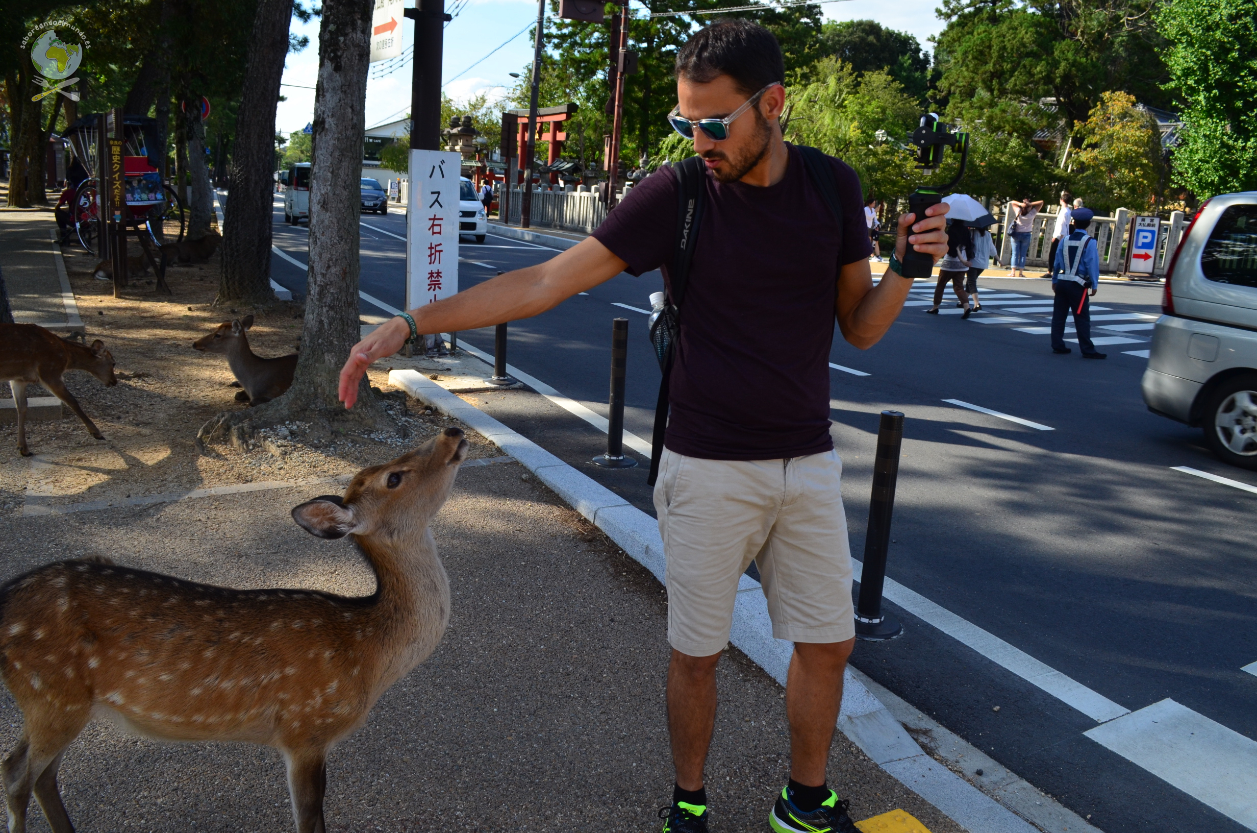 Nara, la ciudad de los ciervos | Japón día 13